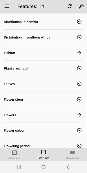 Chikanda Orchid Key Screenshot 2