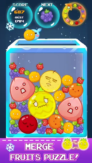 Drop Fruit - Watermelon Game Screenshot 1