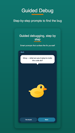 Explain bugs to a duck Screenshot 2