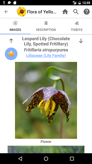 Flora of Yellowstone Screenshot 3
