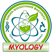 Human Anatomy. Myology
