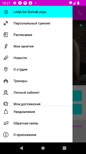 LadyLike – студия растяжки Screenshot 2