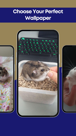 Cute Hamster Wallpaper 4K Screenshot 0