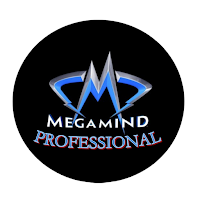 MEGAMIND TUTORS