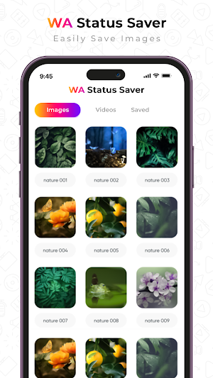 HD Video Player & WA Sticker Screenshot 3