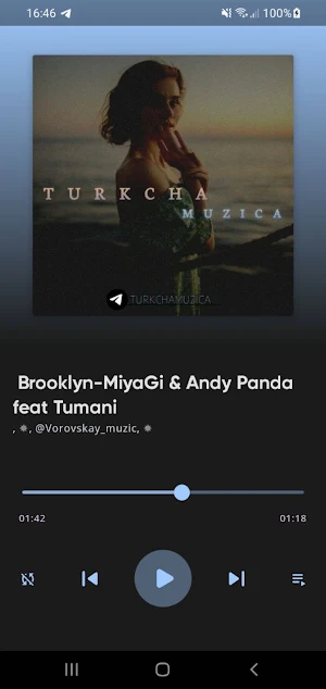 Music Player Screenshot 1