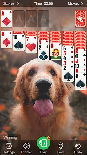 Solitaire - Classic Klondike Card Game Screenshot 2