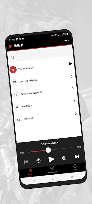 Muzeum Wojska Polskiego Screenshot 2