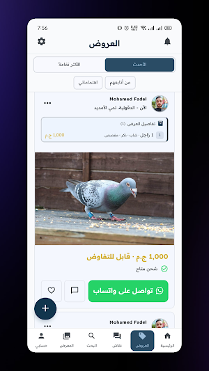 مجتمع الغواة Screenshot 0