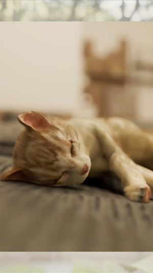 The Cat Was in the Bedroom Screenshot 0