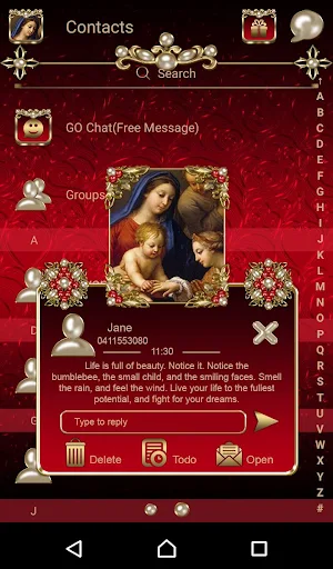 Virgin Mary Red Go SMS theme Screenshot 2