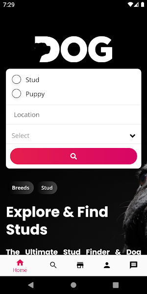 Stud Dog Screenshot 0