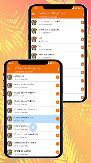 Vallenato Ringtones Screenshot 3