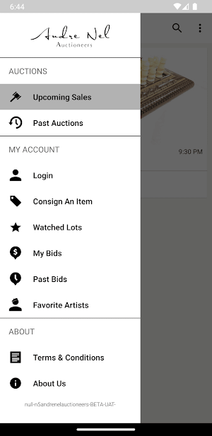 André Nel Auctioneers Screenshot 3