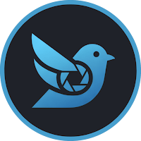SnapNest: Shared Photo Nests