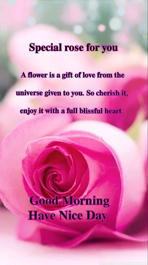 Everyday Good Morning Wishes Screenshot 3