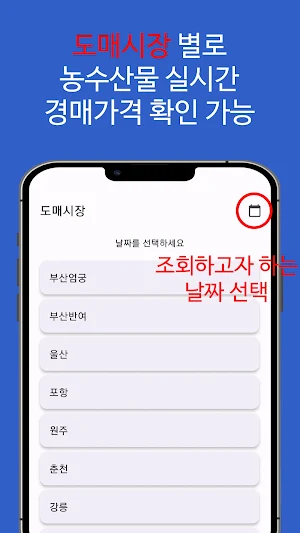 농수산물 실시간 경매 가격 정보 - 도매시장 Screenshot 0