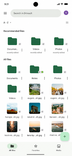 Drivault Screenshot 2
