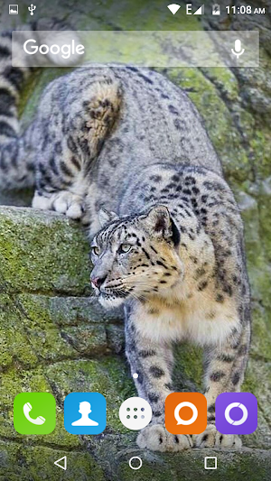 Snow Leopard Hd Wallpaper Screenshot 2