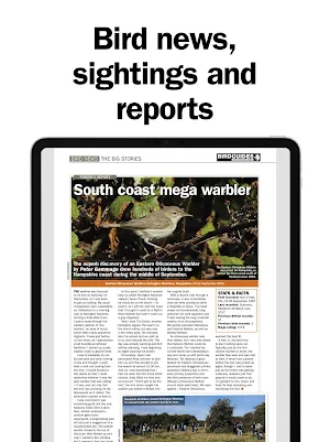 Birdwatch Magazine Screenshot 1