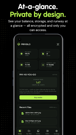 Privsilo: Secure File Storage Screenshot 0