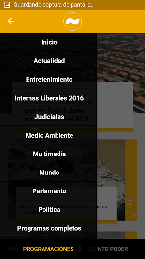 Ñanduti Screenshot 1