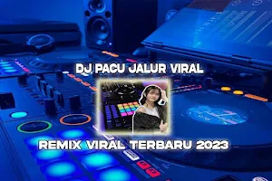 Dj Pacu Jalur Viral Screenshot 0