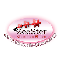 FlowerHolland