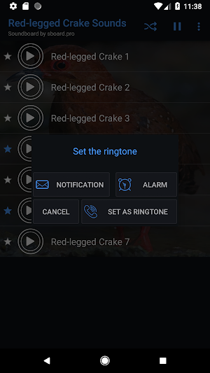 Red-legged Crake bird Sounds ~ Screenshot 2