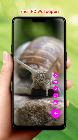 Snail HD Wallpapers Screenshot 0