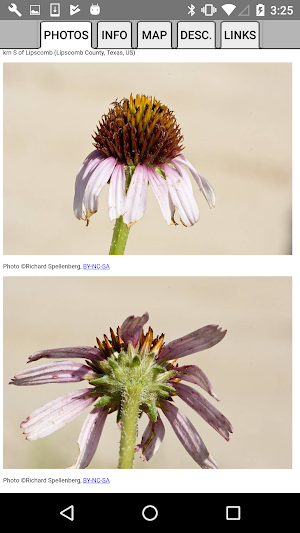 North Dakota Wildflowers Screenshot 3