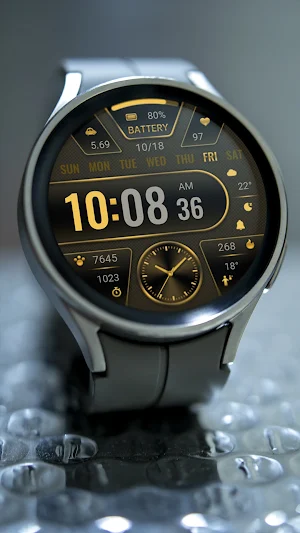 Black Gold Info ZKin Watch Screenshot 3