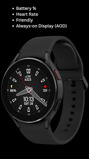 SimpleFit Analog Watch Face Screenshot 3