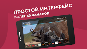 TV + ЦТВшка - мобильное тв hd - цифровые каналы. Screenshot 0