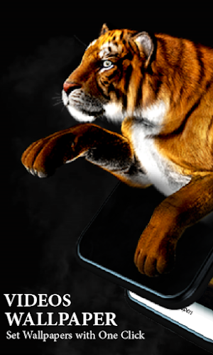 Video live wallpaper Set Video Screenshot 3
