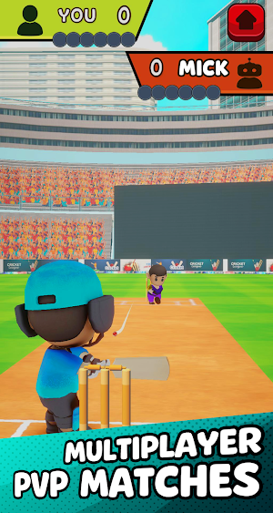 Super League Hit Cricket Game Screenshot 2