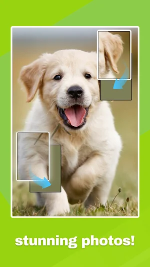 Jigsaw Block Puzzle Screenshot 0
