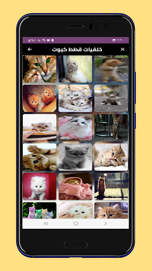 خلفيات قطط فخمة Screenshot 2