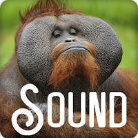 Monkey Soundboard Ringtones