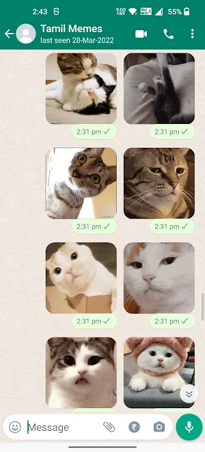 Cat Animated Stickers Screenshot 2