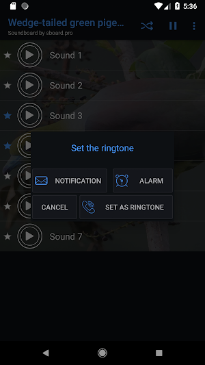 Green pigeon sounds ~ Sboard.pro Screenshot 2