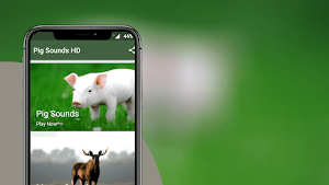 Pig Sounds Screenshot 1
