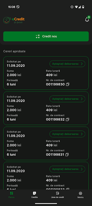 eCredit Screenshot 2