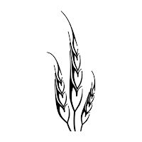 Harvest Seasonal Grill