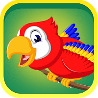 Learn Birds Name - Birds Picture & Sound