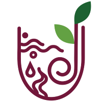 Five Elements International