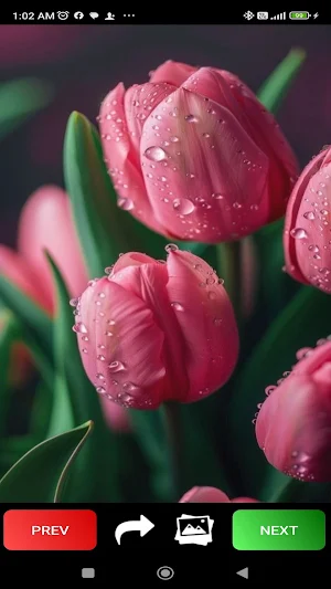 Spring Wallpapers Screenshot 1