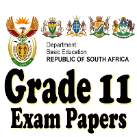 Grade 11 Past Papers and Guide
