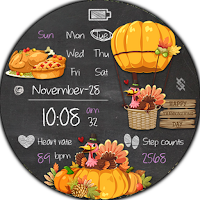 BFF24- Thanksgiving day Turkey