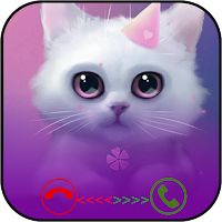 face call funny cat